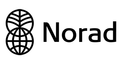 NORAD Logo